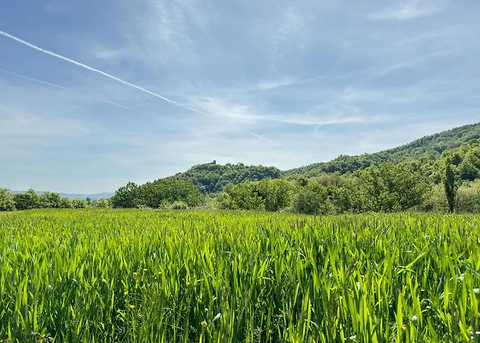Casa Montecastelli Sopra/terra